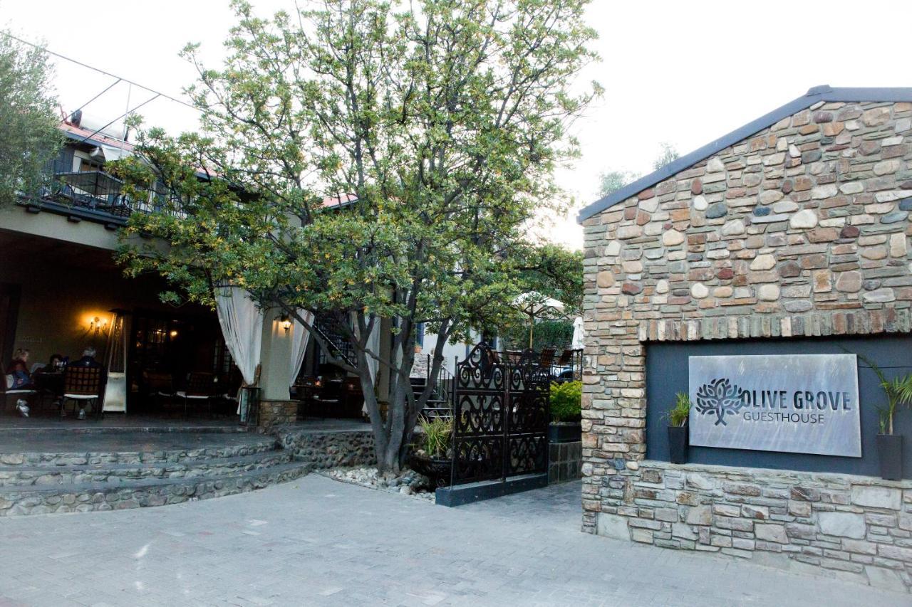 Olive Grove Guesthouse Windhoek Exterior foto
